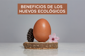 beneficios-huevos-ecologicos