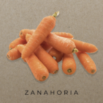 Zanahoria ecológica