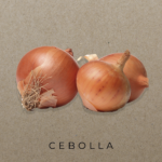 Cebolla ecológica