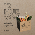 1 Ecocesta al mes (Docena)