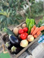 4kg de verduras al mes - Imagen 2
