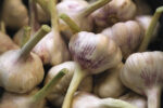 Ajo ecológico 250gr - Imagen 2