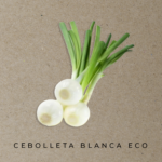 Cebolleta blanca eco