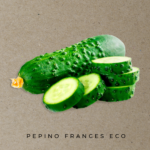 Pepino frances eco